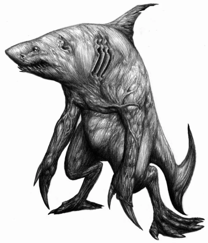 New Mutant Monday Series Two #62 - Selachimorpha