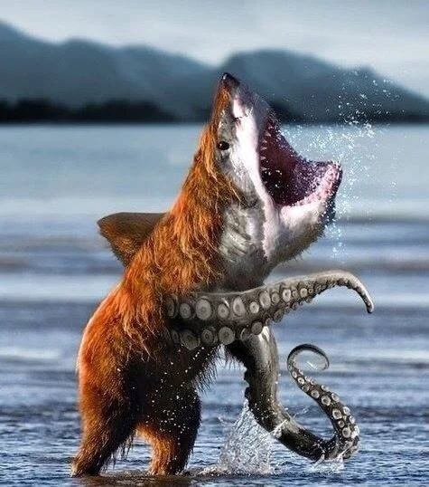 New Mutant Monday Series Two #70 - Owbeark