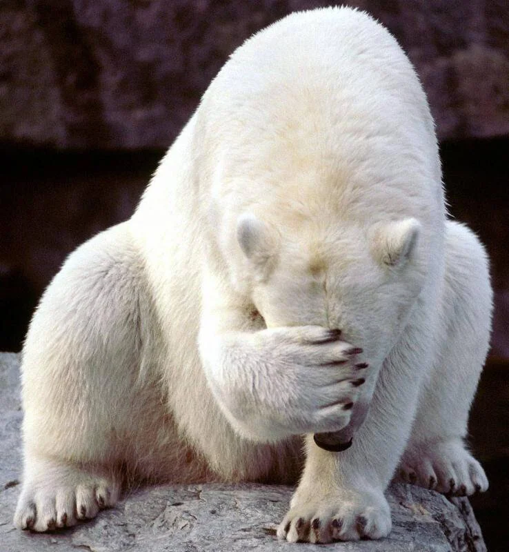 Some Things Never Change