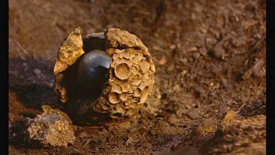 Practical Magic: Dehydrate Ooze