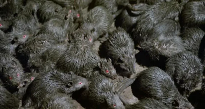 Buck Who? Chapter 11