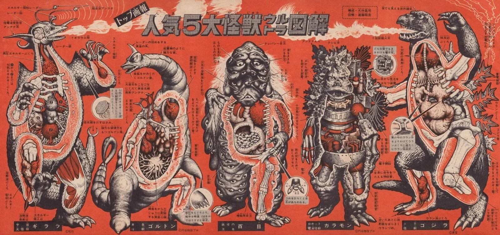 Monster Design (d-Infinity Live Season 6 Episode 24)