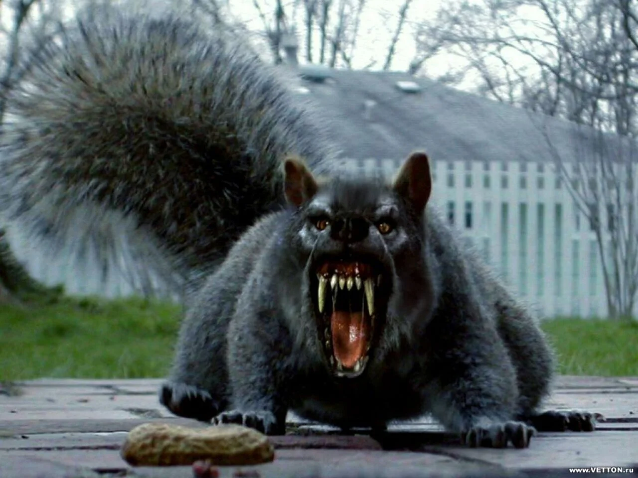 New Mutant Monday #5 - Predisquirrel