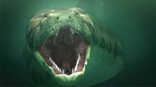 Runequest Thursday #32 - New Creature, Titanoboa!