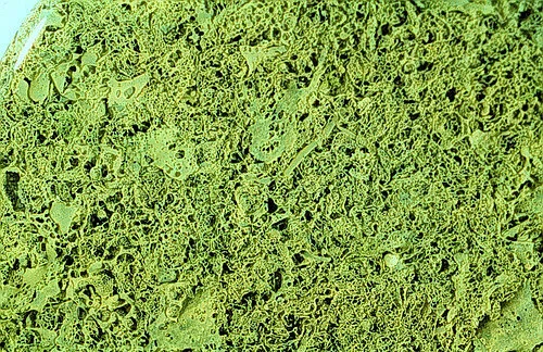 New Mutant Monday # 60 - Slicks