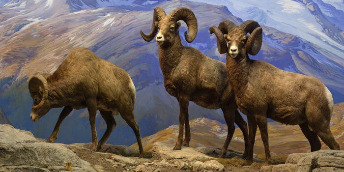 New Mutant Monday #13 - Porters