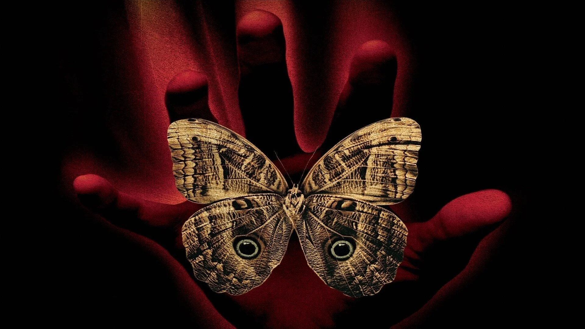 Top Five Time Travel Novels or Stories