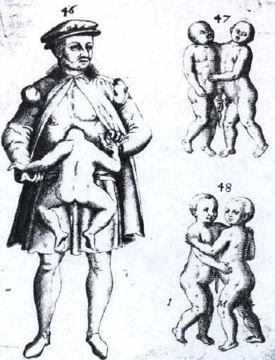 An examination of the spell Meld Flesh