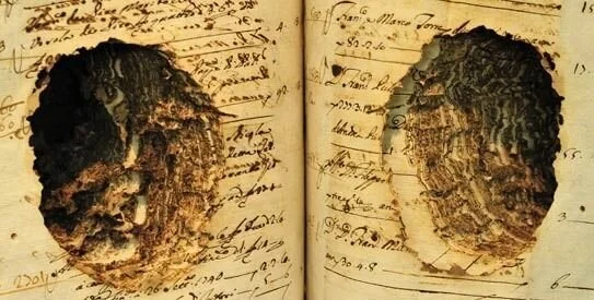 d10 Damaged Books