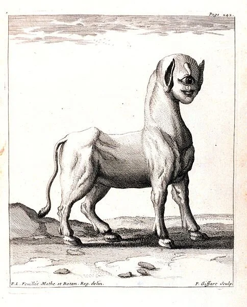 From the Vats and Animatter Organisms