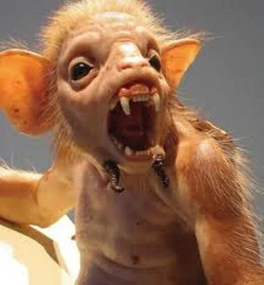 New Mutant Monday # 73 - Konchu Monkey