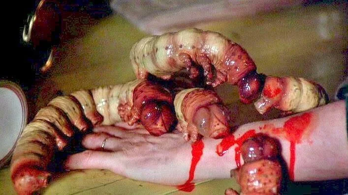Carnivorous Grubs