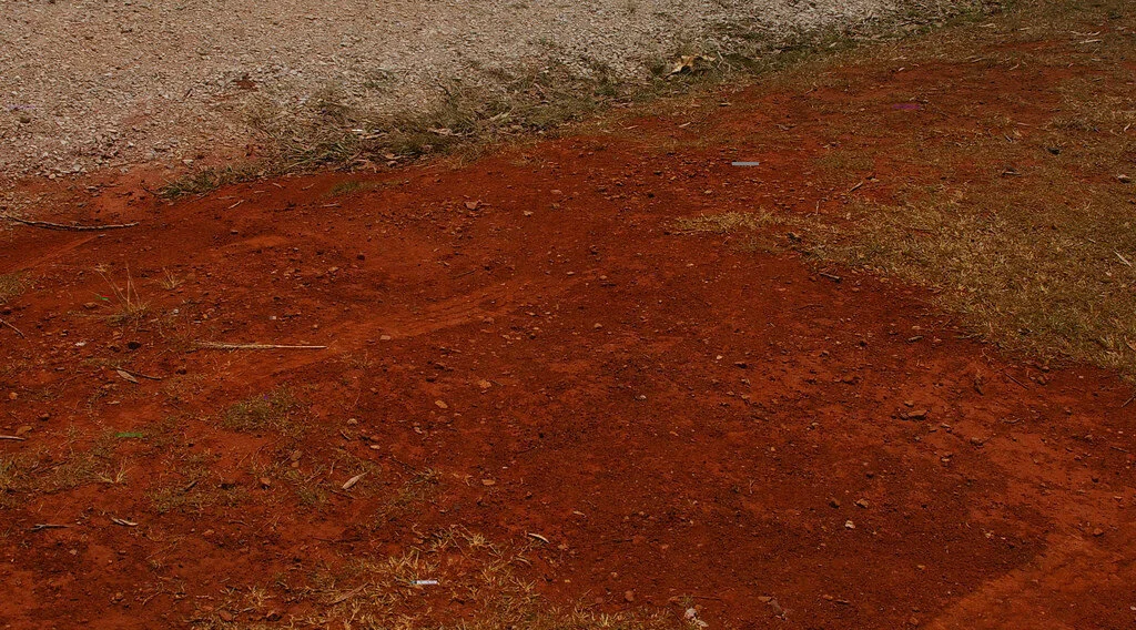 Plant Mutation: Alter Soil Consistency