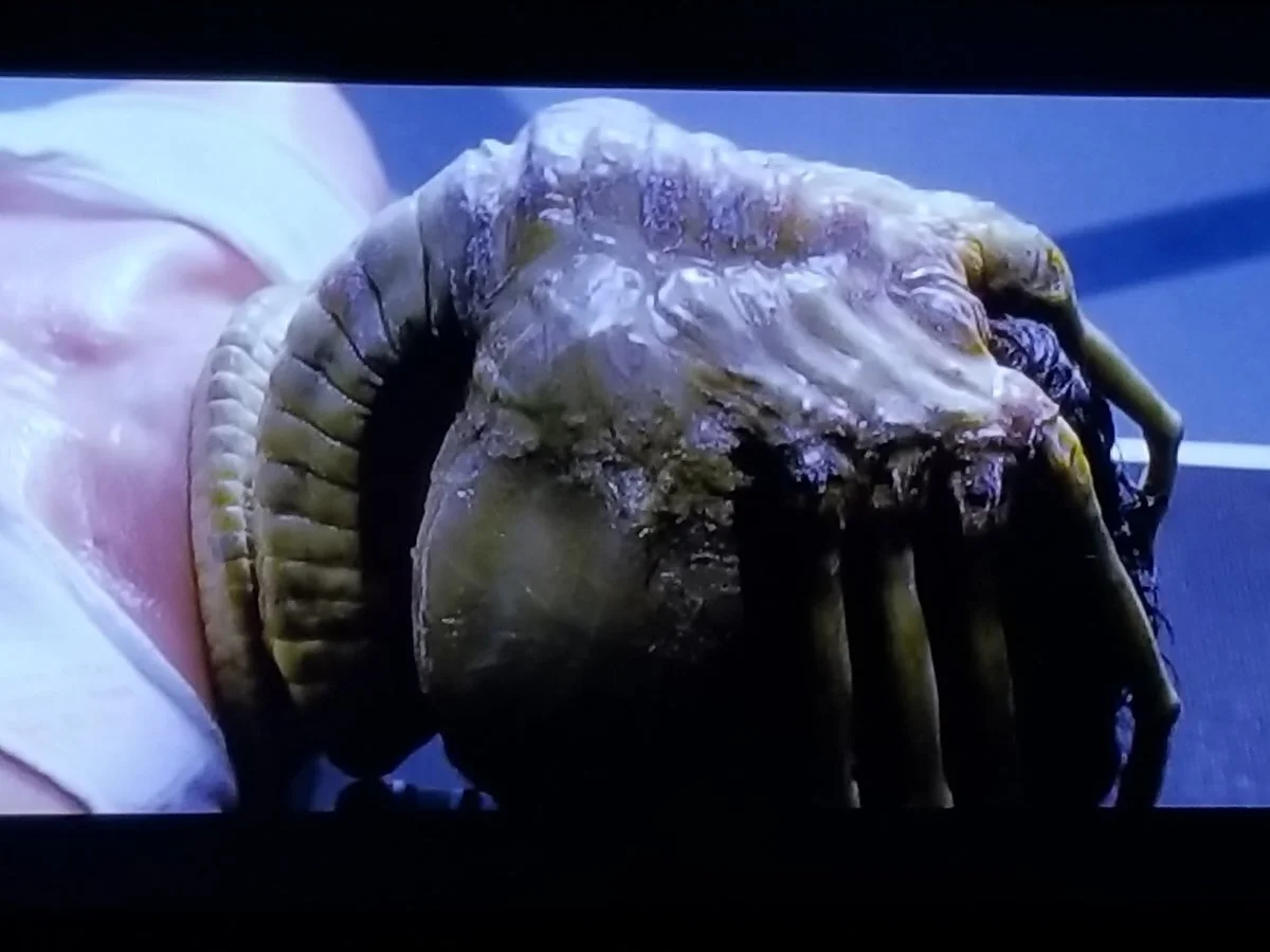Starfinder: Xenomorph Facehugger