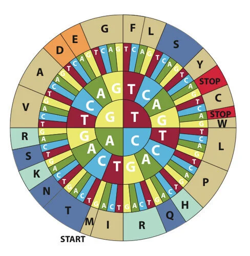 Physical Mutation: Alter Genetic Code