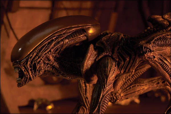 Starfinder: Xenomorph Canine