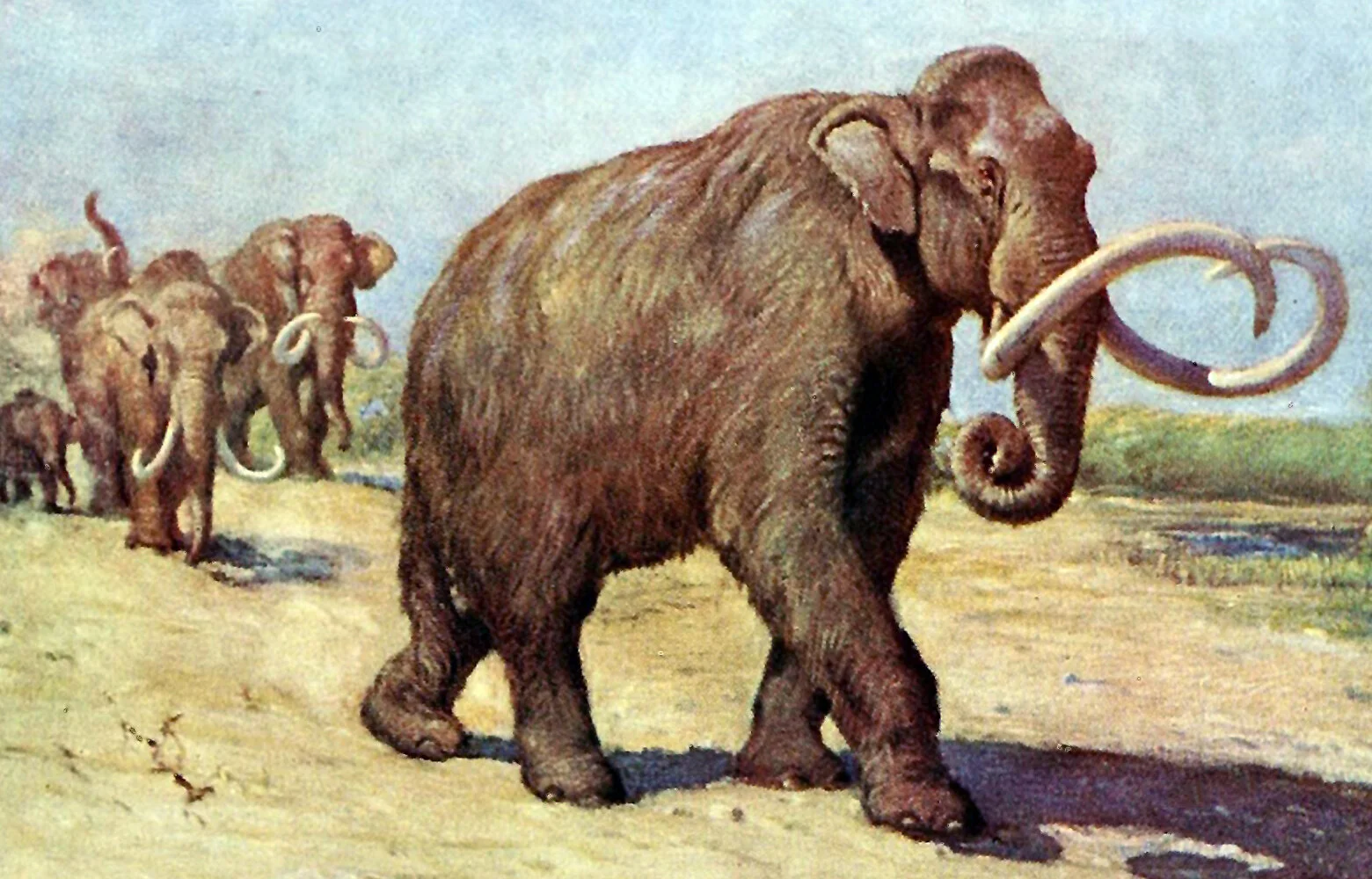 Runequest Thursday #161 - The River Mammoth!