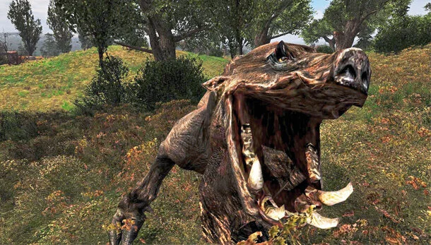 Zone Boar