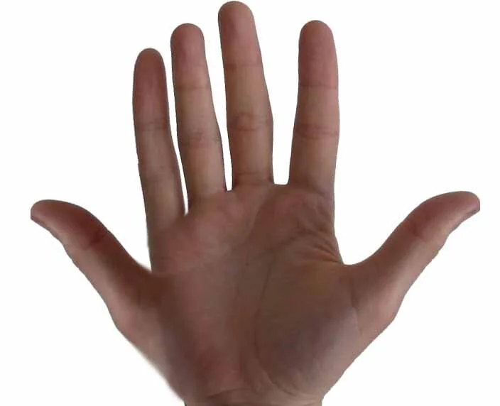Physical Mutation: Ambidexterity
