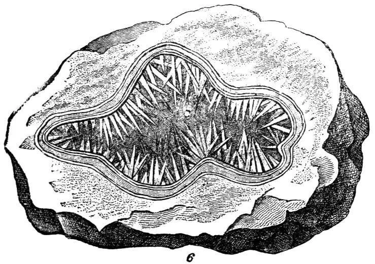 Mutant Minerals and Plants
