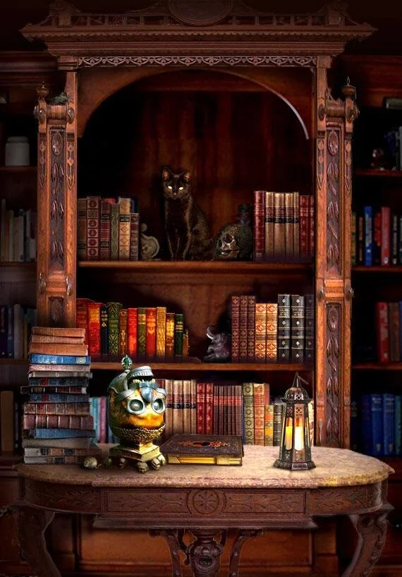 Oddities On a Wizard's Bookshelf