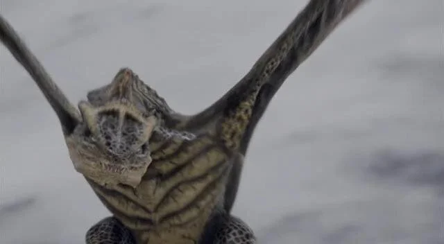 Wyvern
