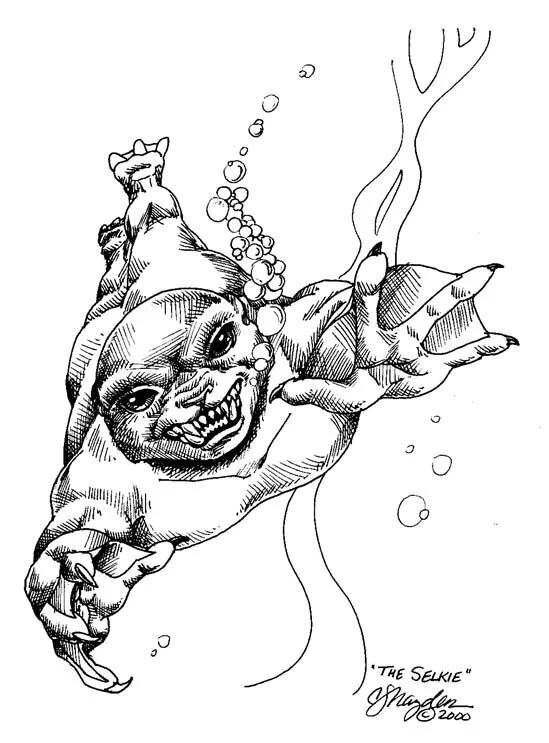 Selkies