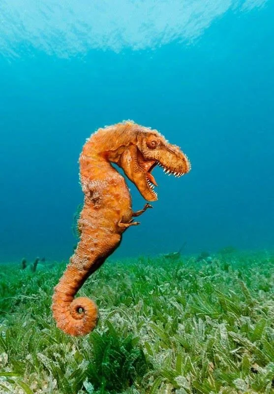 New Mutant Monday # 81 - Sea Tyrant