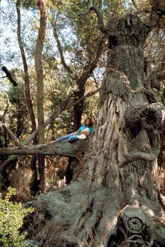 Guardian Tree