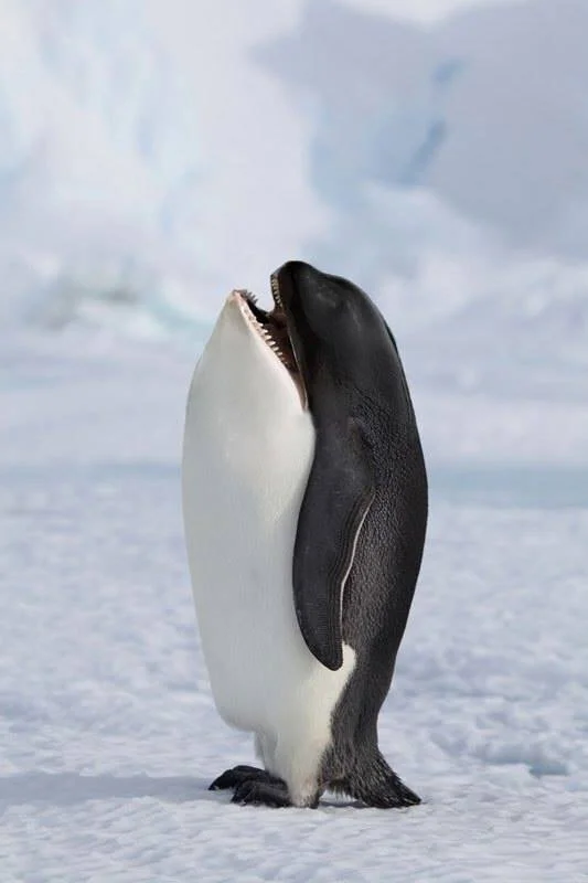 New Mutant Monday # 83 - Pengale