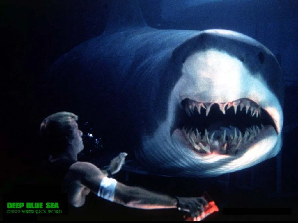 Thinker Shark