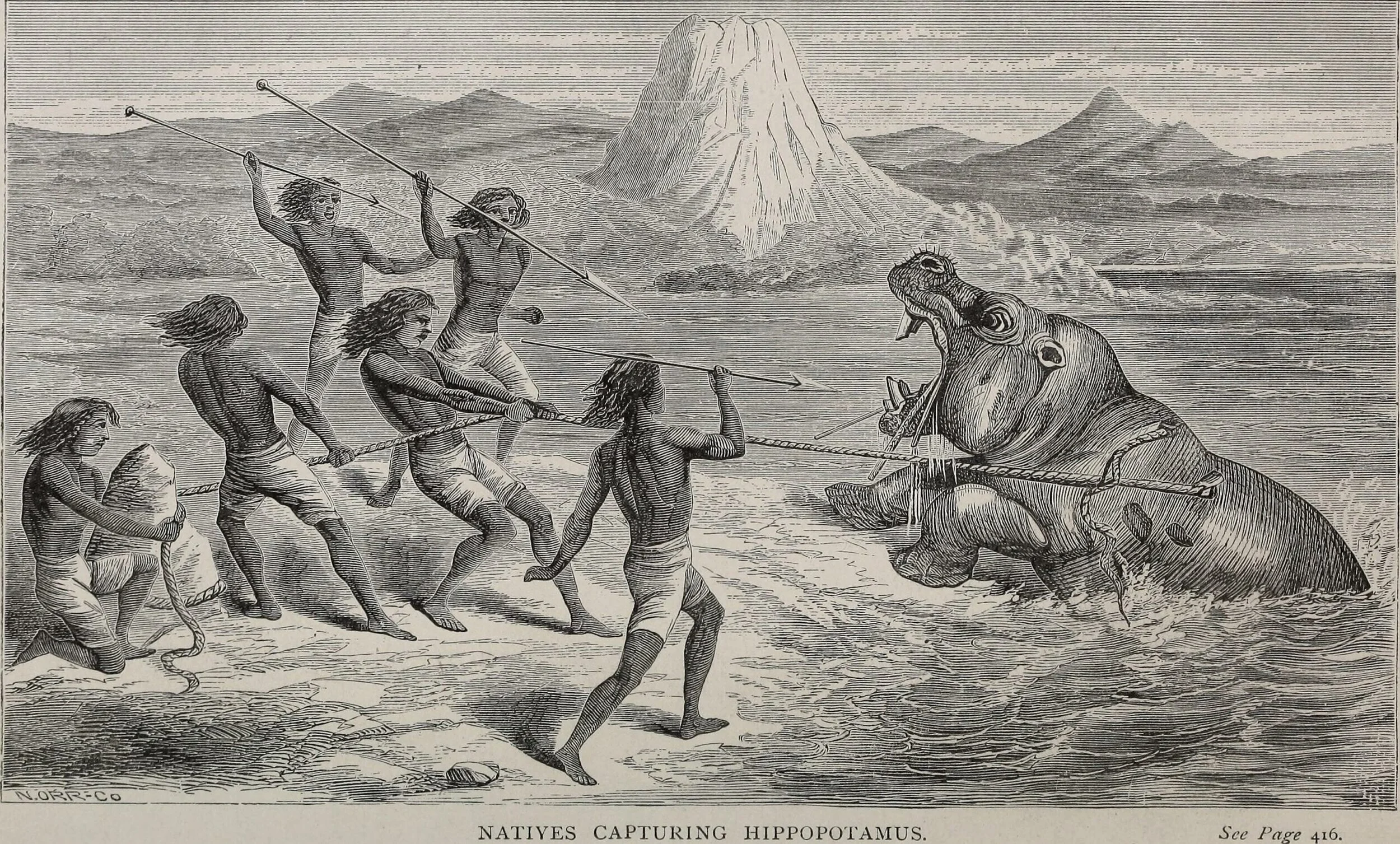 Men & Monsters of Ethiopia: Hippopotamus (5th Edition D&D Monster)