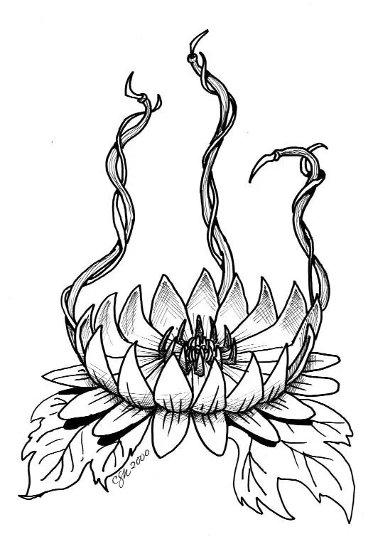 Swamp Vine
