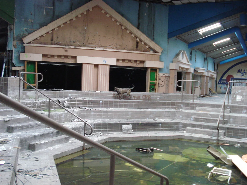 Oddities for an Abandoned Mall