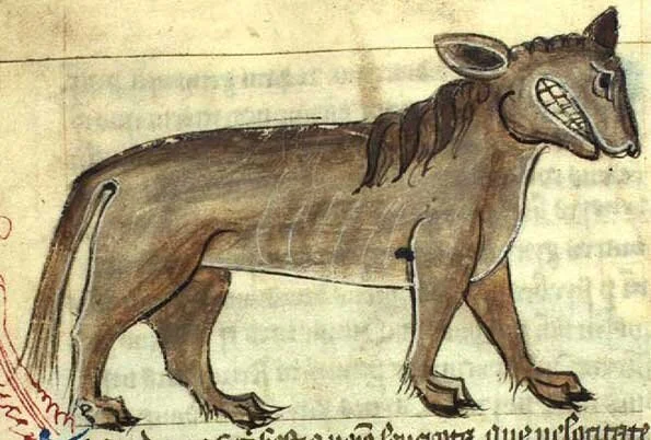 Men & Monsters of Ethiopia: Leucrotta (5th Edition D&D Monster)