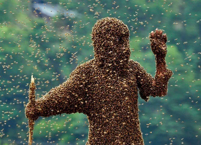 New Mutant Monday Series Two #3 - Dread Bees