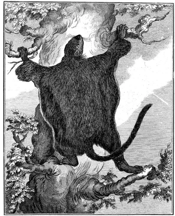 Things That Go Bump in the Spaceship: Dawson's Stobor