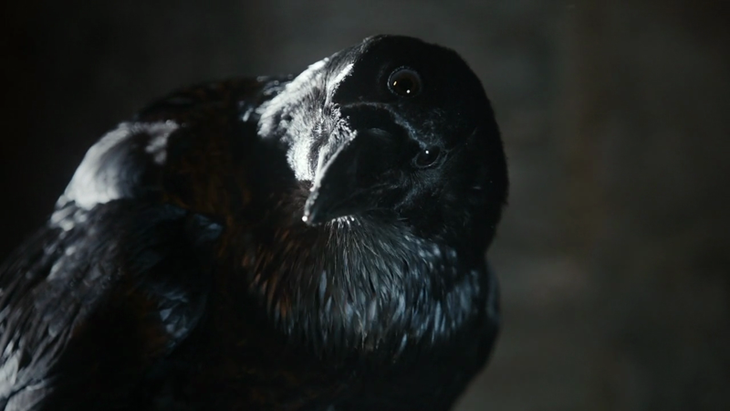 Raven, Three-Eyed
