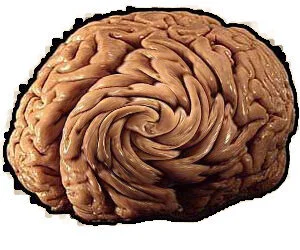 Defects on the Brain: Three New Mental Defects