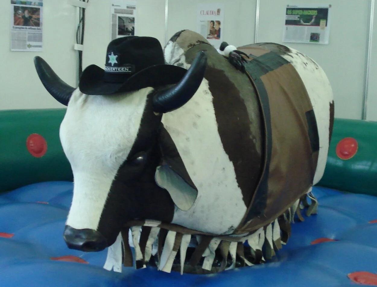 Mechanical Bull (Chaps & Apps/5th Edition D&D)