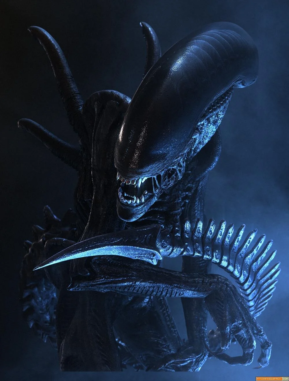 Xenomorph Drone