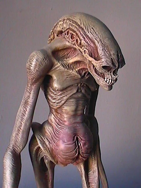 Xenomorph, Newborn