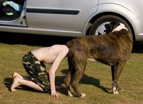 Thinking about 'Wisdom from the Wastelands' and Other Sundry Ideas