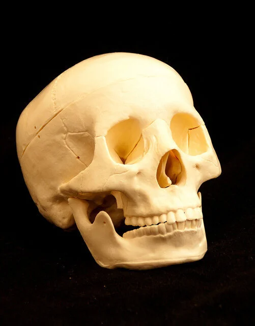 Curse of the Riddling Skull: A Nuisance Spell for Pathfinder