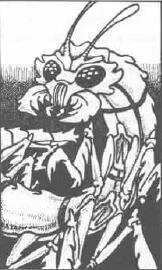 Ankheg Mutants