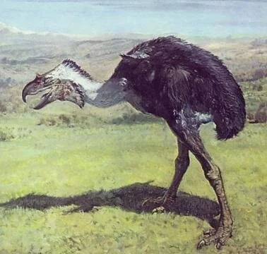 Runequest Thursday Thanksgiving Bonus Creature - The Terror Bird!