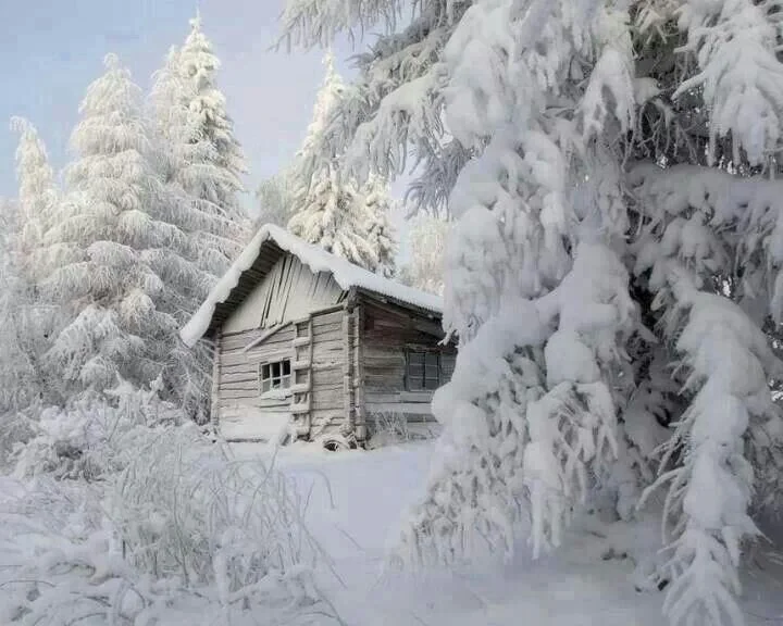 Oddities for a Cabin in the Woods