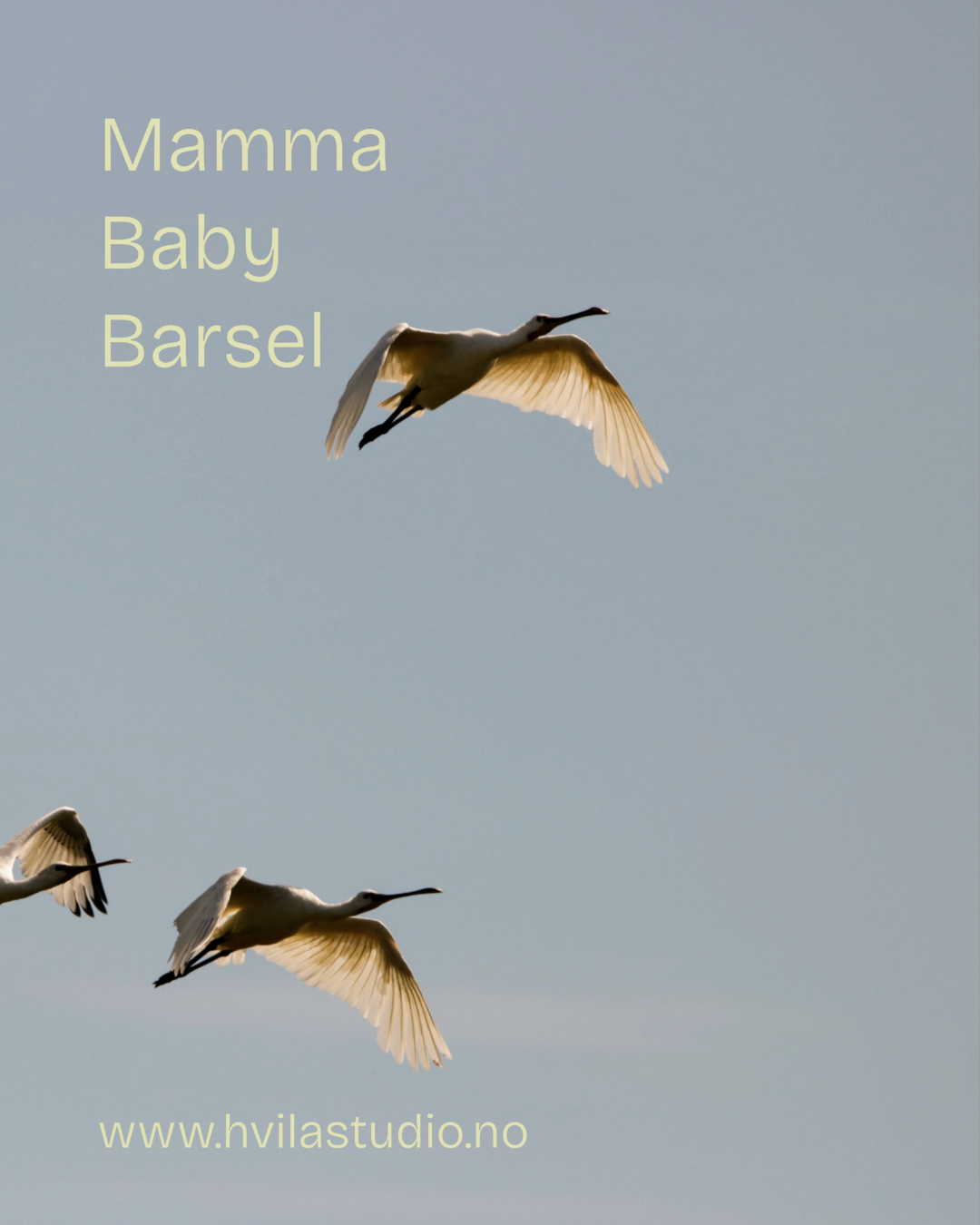 Hvila Studio InGrid - 8.png