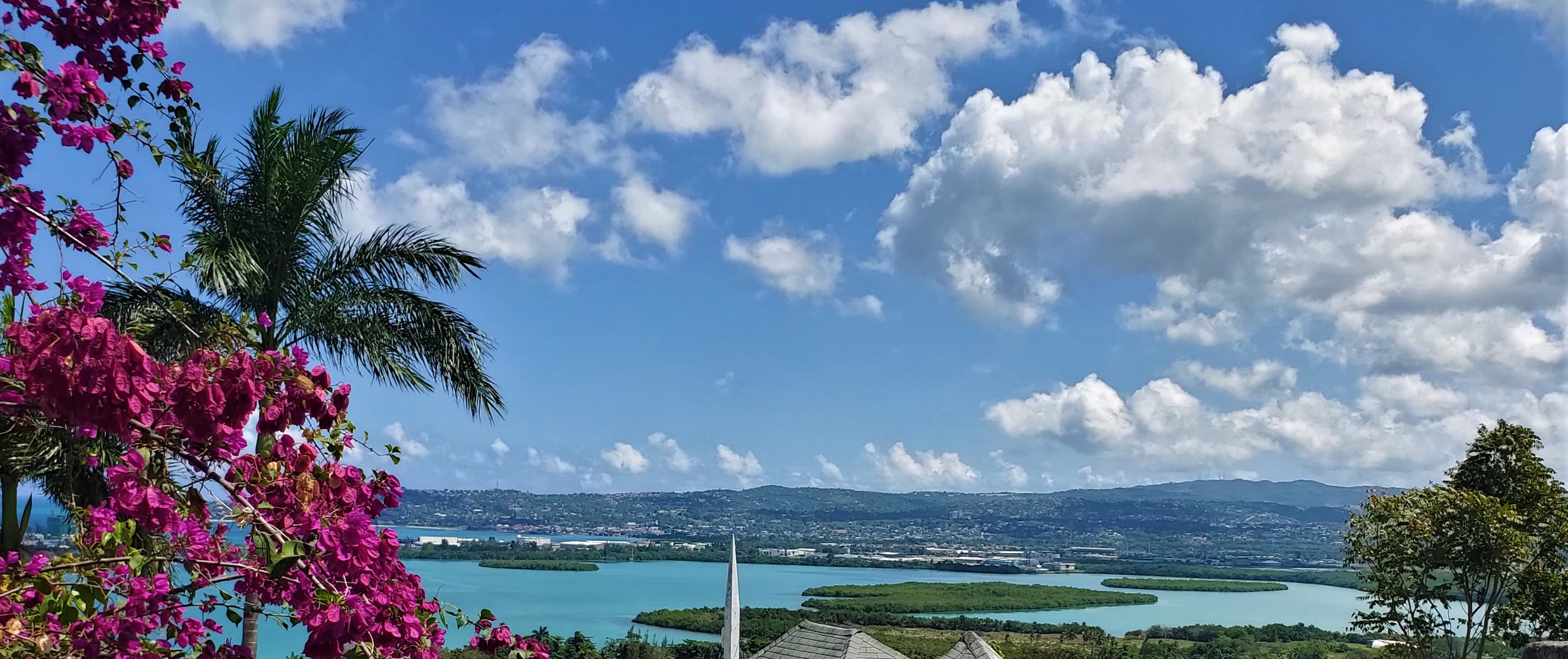 mobay_view.jpg