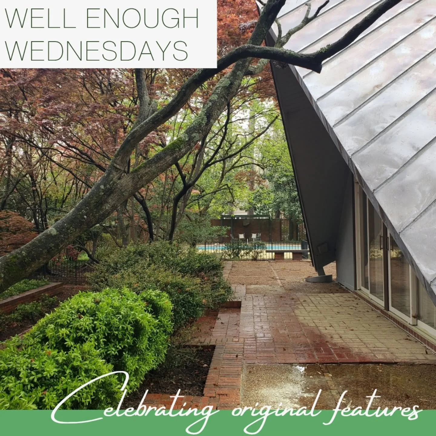 This #wellenoughwednesday,  I'm celebrating this metal roof. Specifically, this terne metal roof which, at 65 years old, has reached just about half of its expected lifespan. That makes it relatively younger than me and a lot sturdier.

This roof cro